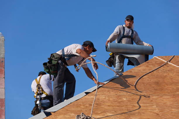 Best Roof Gutter Cleaning  in Una, WA