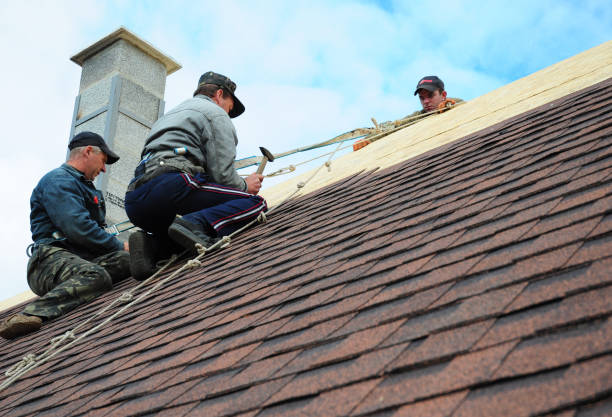 Best Local Roofing Companies  in Una, WA